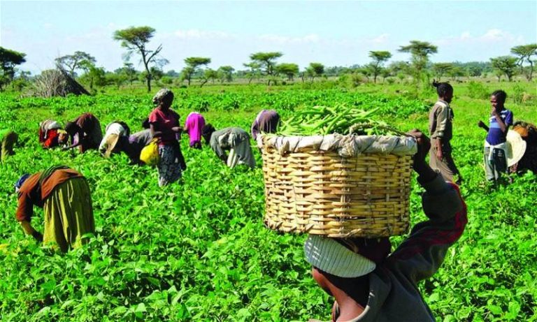 NDDC Trains 200 Farmers in Livestock Farming and Agro-Processing